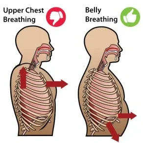 Side-by-side diagram comparing upper chest breathing, marked with a thumbs-down, where the shoulders and chest rise, to belly breathing, marked with a thumbs-up, where the diaphragm drops and the belly expands outward.